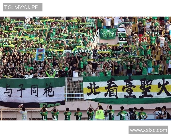 北京国安主场迎战河北队全场精彩回顾与赛后分析