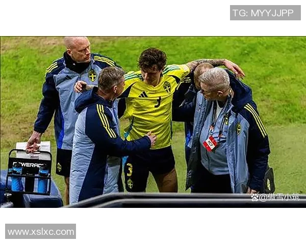 欧青赛精彩对决斯洛伐克迎战瑞典争夺晋级名额