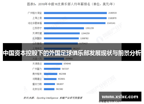 中国资本控股下的外国足球俱乐部发展现状与前景分析
