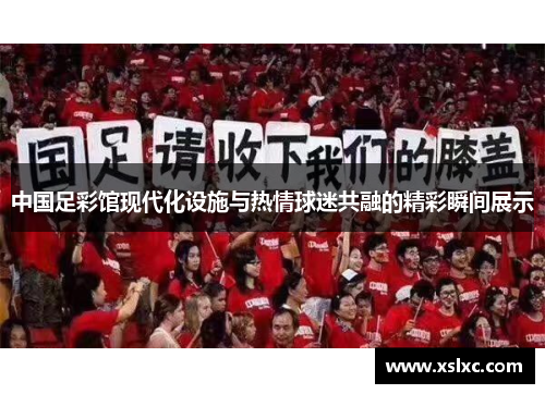 中国足彩馆现代化设施与热情球迷共融的精彩瞬间展示