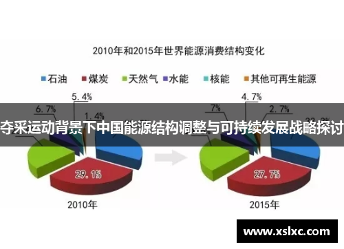 夺采运动背景下中国能源结构调整与可持续发展战略探讨