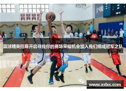 篮球精英招募开启寻找你的赛场荣耀机会加入我们组成冠军之队