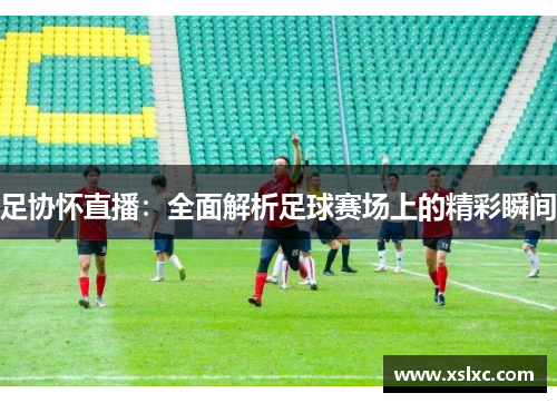 足协怀直播：全面解析足球赛场上的精彩瞬间