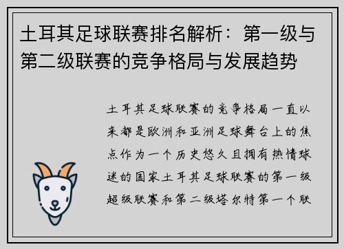 土耳其足球联赛排名解析：第一级与第二级联赛的竞争格局与发展趋势