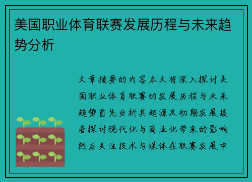 美国职业体育联赛发展历程与未来趋势分析