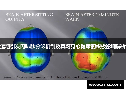 运动引发内啡肽分泌机制及其对身心健康的积极影响解析