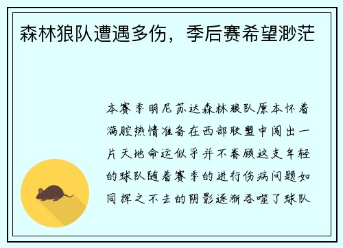 森林狼队遭遇多伤，季后赛希望渺茫