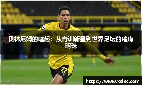 完美电竞手机网页版登录