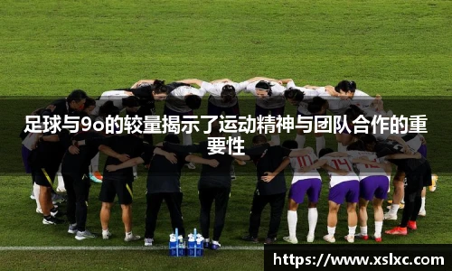 完美电竞官网版