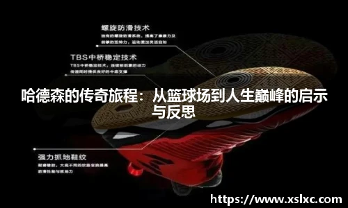 完美电竞官网版